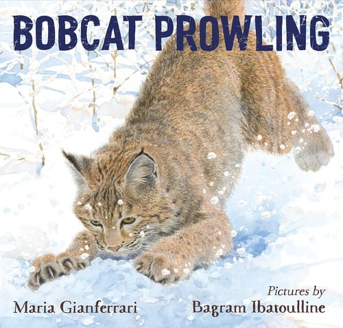 Cover of Bobcat Prowling