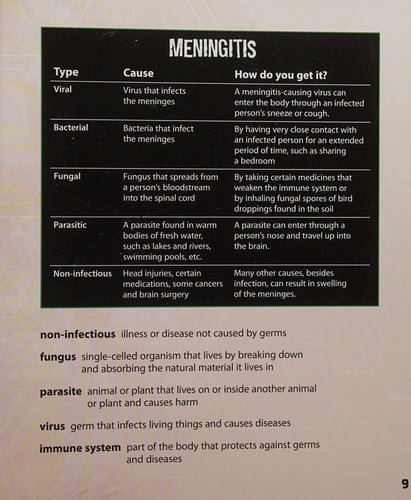 Cover of What You Need to Know about Meningitis