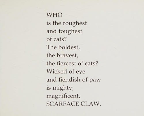 Cover of Scarface Claw