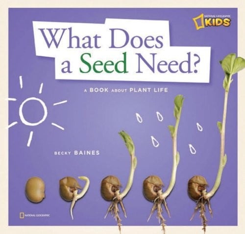 Cover of What Does a Seed Need?
