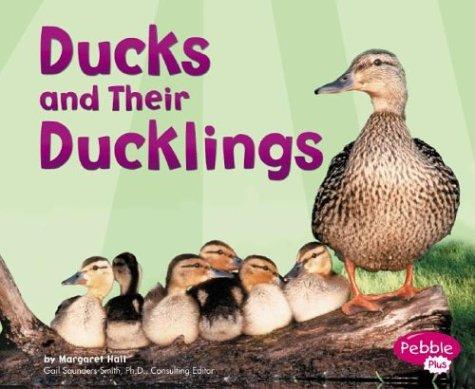 Cover of Ducks and Their Ducklings