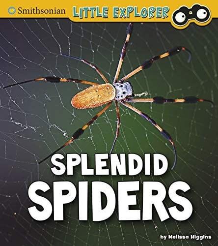 Cover of Splendid Spiders