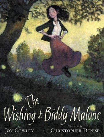 Cover of The Wishing of Biddy Malone