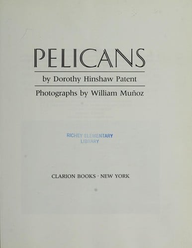 Cover of Pelicans