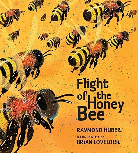 Cover of Flight of the Honey Bee