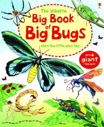 Cover of Big Book of Big Bugs