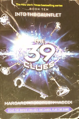 Cover of Into the Gauntlet