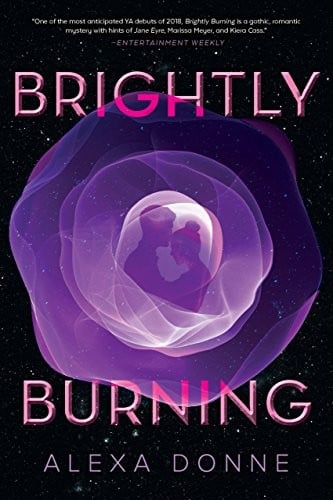 Cover of Brightly Burning