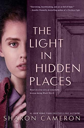Cover of The Light In Hidden Places