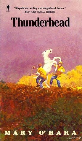 Cover of Thunderhead