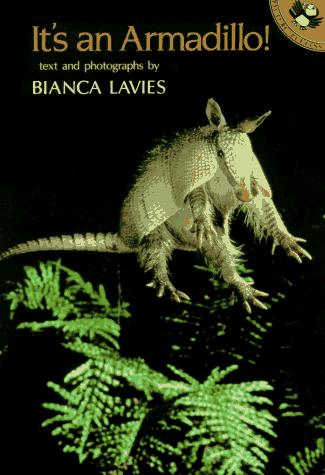 Cover of It's an Armadillo!