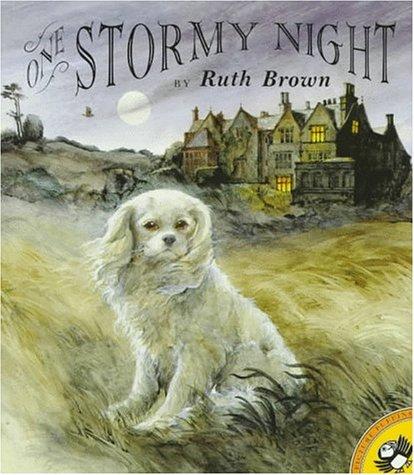 Cover of One Stormy Night
