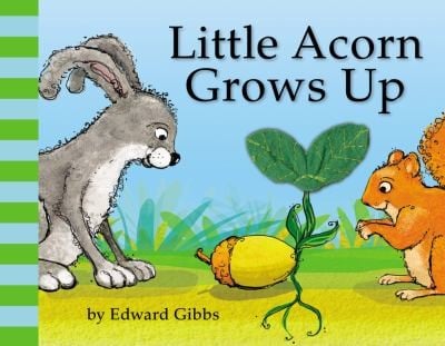 Cover of Little Acorn Grows Up