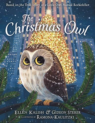 Cover of The Christmas Owl Based on the True Story of a Little Owl Named Rockefeller