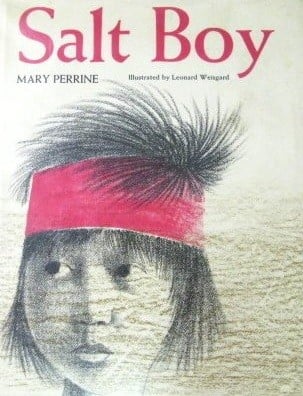 Cover of Salt Boy