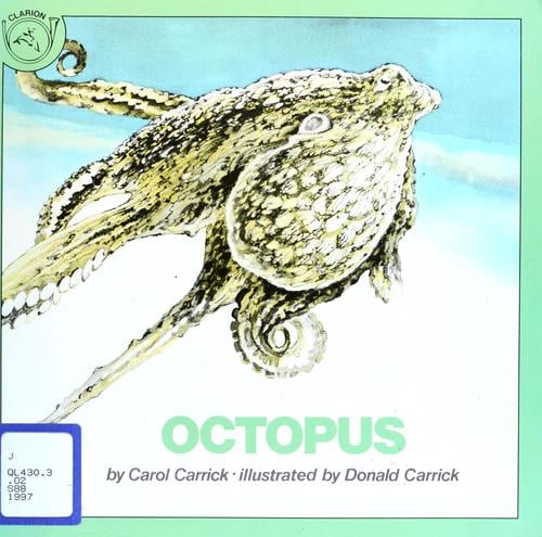 Cover of Octopus