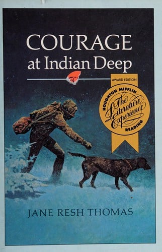 Cover of Courage at Indian Deep