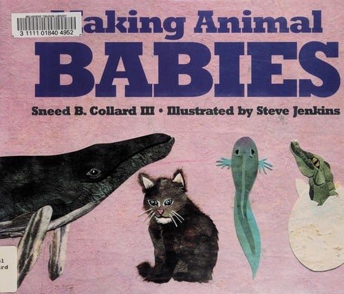 Cover of Making Animal Babies