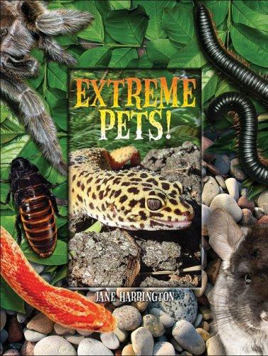 Cover of Extreme Pets
