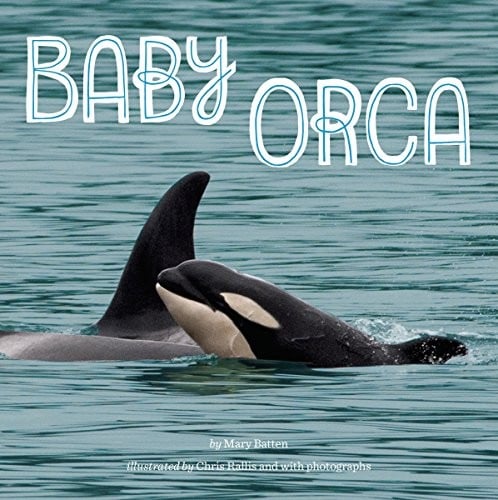 Cover of Baby Orca