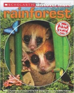 Cover of Rainforest