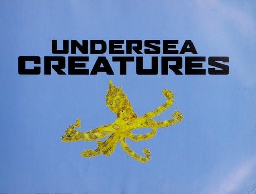 Cover of Undersea Creatures