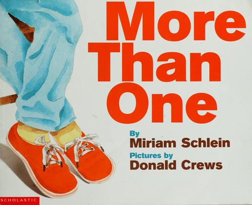 Cover of More Than One