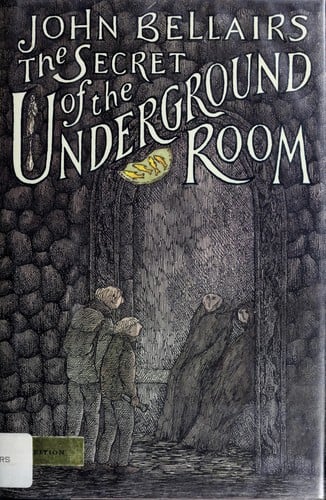 Cover of The Secret of the Underground Room