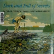 Cover of Dark and Full of Secrets