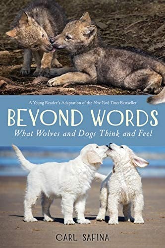 Cover of Beyond Words: What Wolves and Dogs Think and Feel