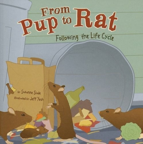 Cover of From Pup to Rat Following the Life Cycle