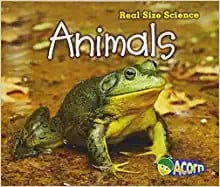 Cover of Animals: Real Size Science