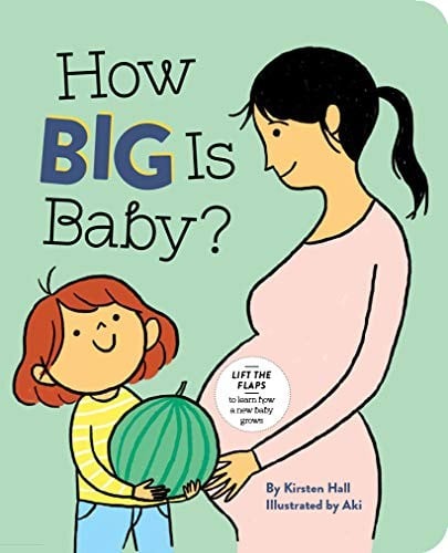 Cover of How Big Is Baby?