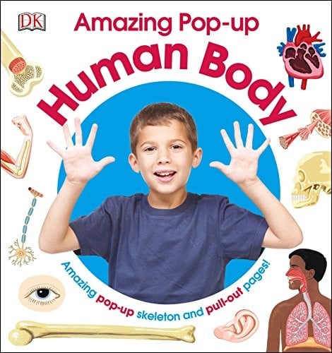 Cover of Amazing Pop-Up Human Body