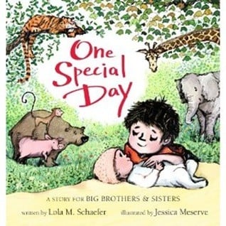 Cover of One Special Day: A Story for Big Brothers and Sisters