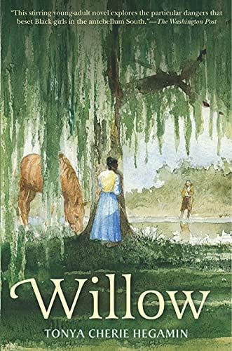 Cover of Willow