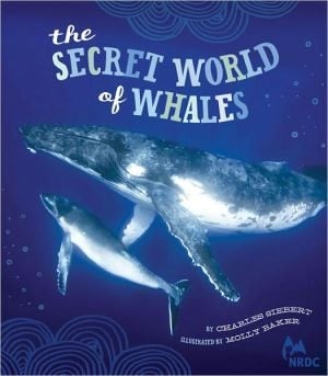 Cover of The Secret World of Whales