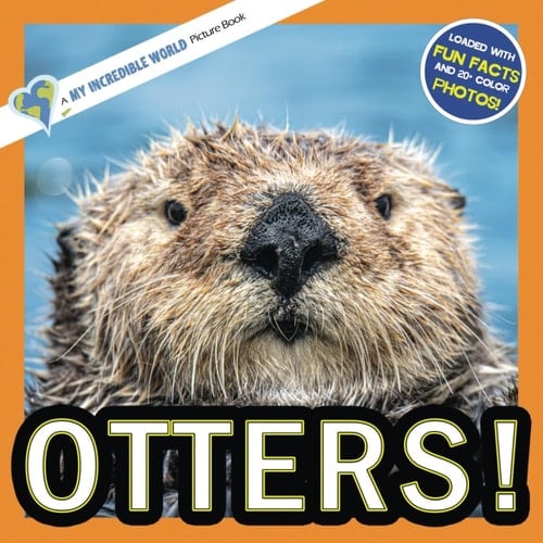 Cover of Otters! A My Incredible World Picture Book for Children