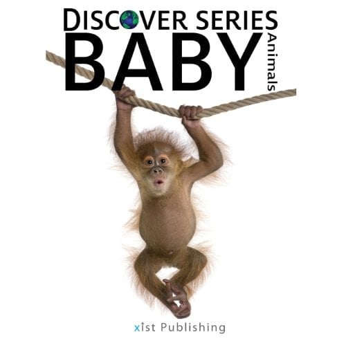 Cover of Baby Animals Discover Series Picture Book for Children