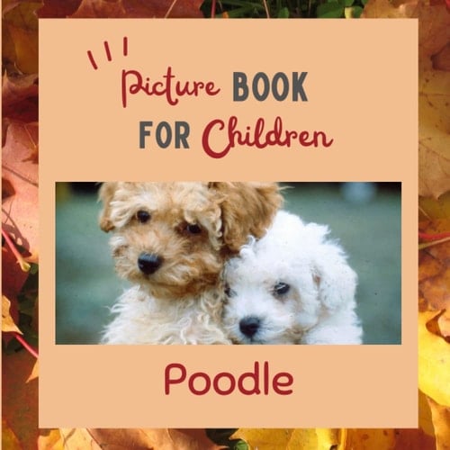 Cover of Poodle: Discovering Poodle in pictures