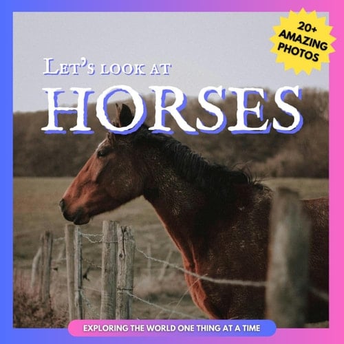 Cover of Let's Look At Horses Picture Book for Children
