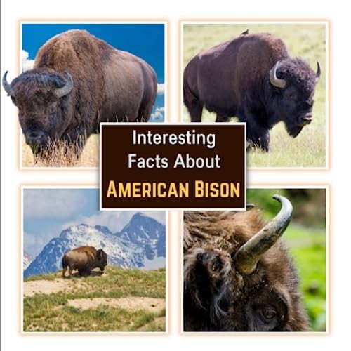 Cover of Interesting Facts about American Bison Learn About the Bison with Picture Book for Children