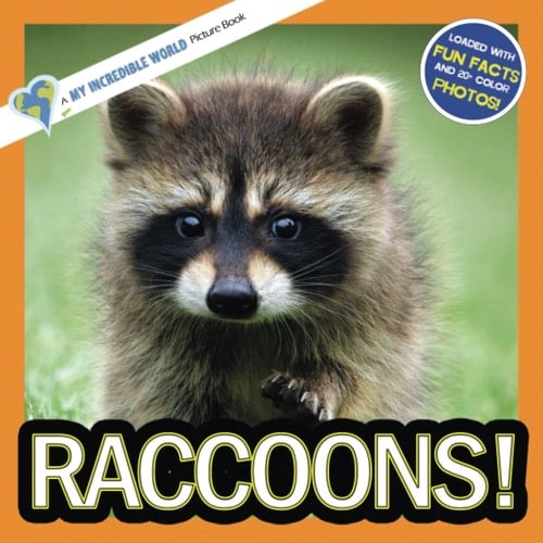 Cover of Raccoons! A My Incredible World Picture Book for Children