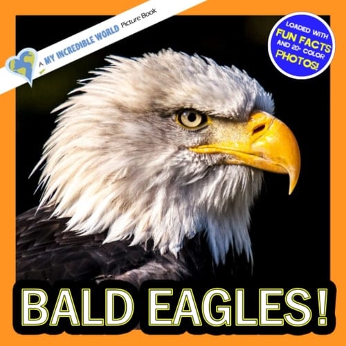 Cover of Bald Eagles!