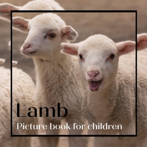 Cover of Lamb: Discovering Lamb in Pictures
