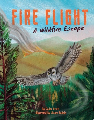 Cover of Fire Flight A Wildfire Escape