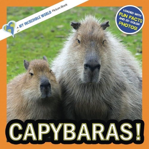 Cover of Capybaras!: A My Incredible World Picture Book for Children