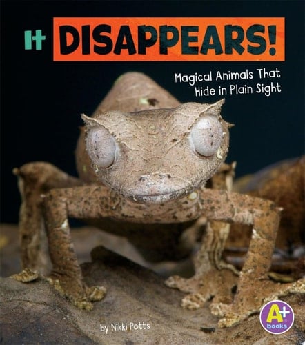Cover of It Disappears! Magical Animals That Hide in Plain Sight