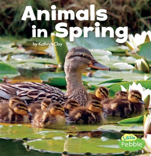 Cover of Animals in Spring