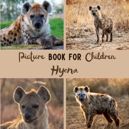 Cover of Hyena: Discovering Hyena in Pictures